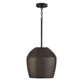 Della Outdoor (Damp) Pendant by Capital Lighting