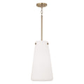 Averitt Pendant by Capital Lighting