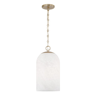 Cleo Pendant by Capital Lighting