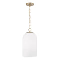 Cleo Pendant by Capital Lighting