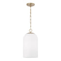 Cleo Pendant by Capital Lighting