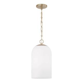 Buy matte-brass-with-soft-white-glass-glass-and-white-shade Cleo Pendant by Capital Lighting