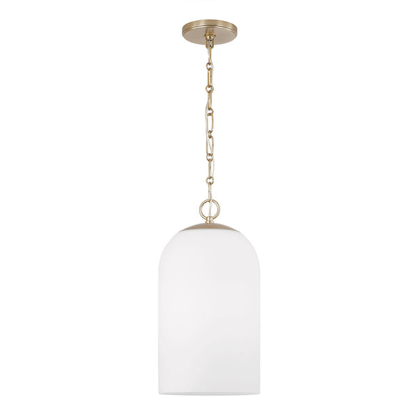 Cleo Pendant by Capital Lighting