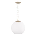 Cleo Pendant by Capital Lighting