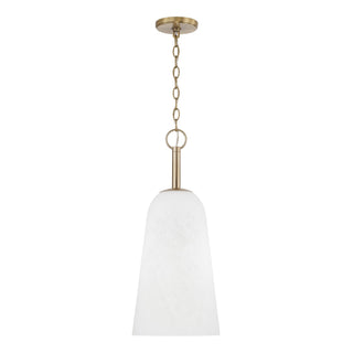 Romy Pendant by Capital Lighting