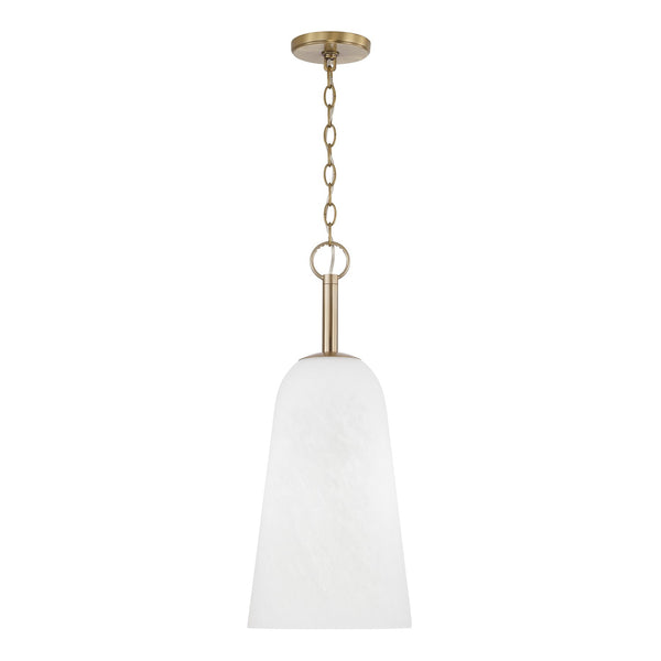 Romy Pendant by Capital Lighting