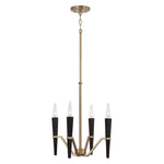 Capital Lighting-453841AB|MAIN