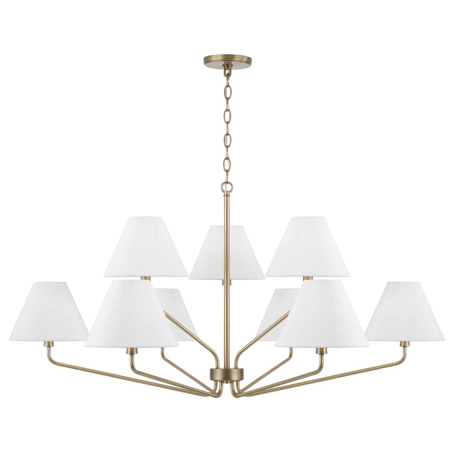 Chadwick Chandelier by Capital Lighting