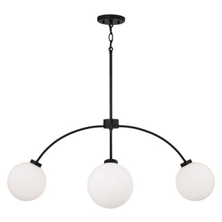 Amos Chandelier by Capital Lighting