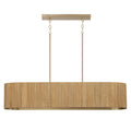 Donovan Pendant by Capital Lighting
