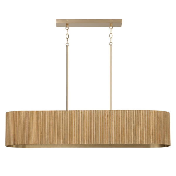 Donovan Pendant by Capital Lighting