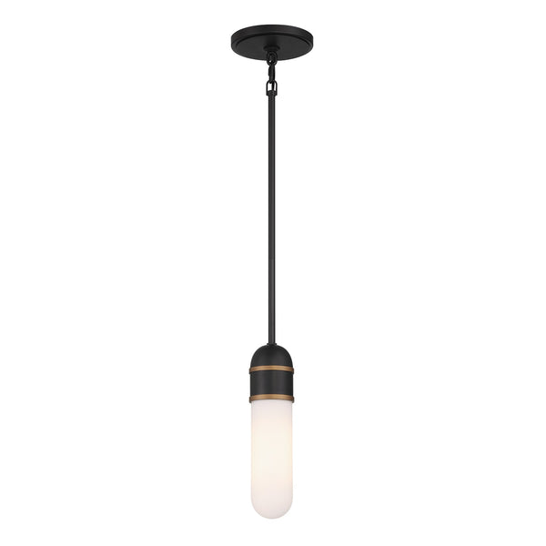 Capsule Outdoor (Damp) Mini Pendant by Crystorama