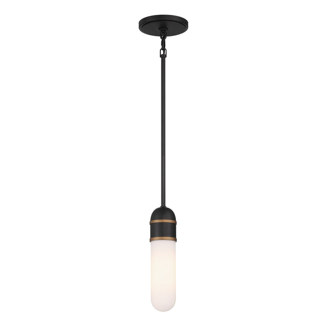 Capsule Outdoor (Damp) Mini Pendant by Crystorama