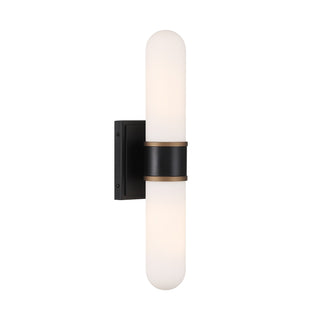 Capsule Outdoor (Damp) Wall Sconce by Crystorama