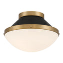 Xander Outdoor (Damp) Flush Mount Light by Crystorama