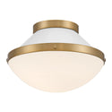 Xander Outdoor (Damp) Flush Mount Light by Crystorama