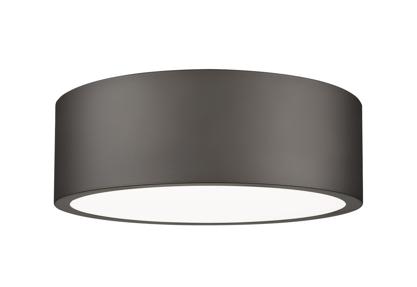 Z-Lite-1017F12-BRZ-LED|MAIN