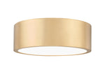 Z-Lite-1017F12-MGLD-LED|MAIN