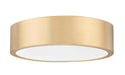 Coronado Outdoor (Damp) Flush Mount Ceiling Light by Z-Lite