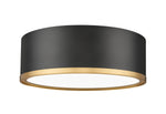 Z-Lite-1018F12-MB-MGLD-LED|MAIN