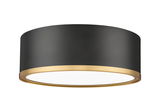 Z-Lite-1018F12-MB-MGLD-LED|MAIN