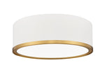 Z-Lite-1018F12-MW-MGLD-LED|MAIN