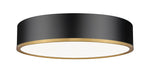 Z-Lite-1018F20-MB-MGLD-LED|MAIN