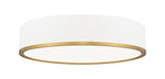 Z-Lite-1018F20-MW-MGLD-LED|MAIN