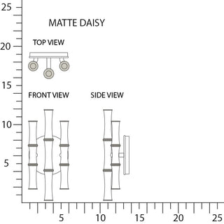 Buy matte-daisy-w-polished-nickel Kane Sconce by Robert Abbey