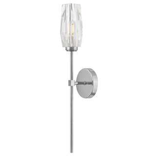 Buy polished-nickel Ana Outdoor (Damp) Sconce by Hinkley