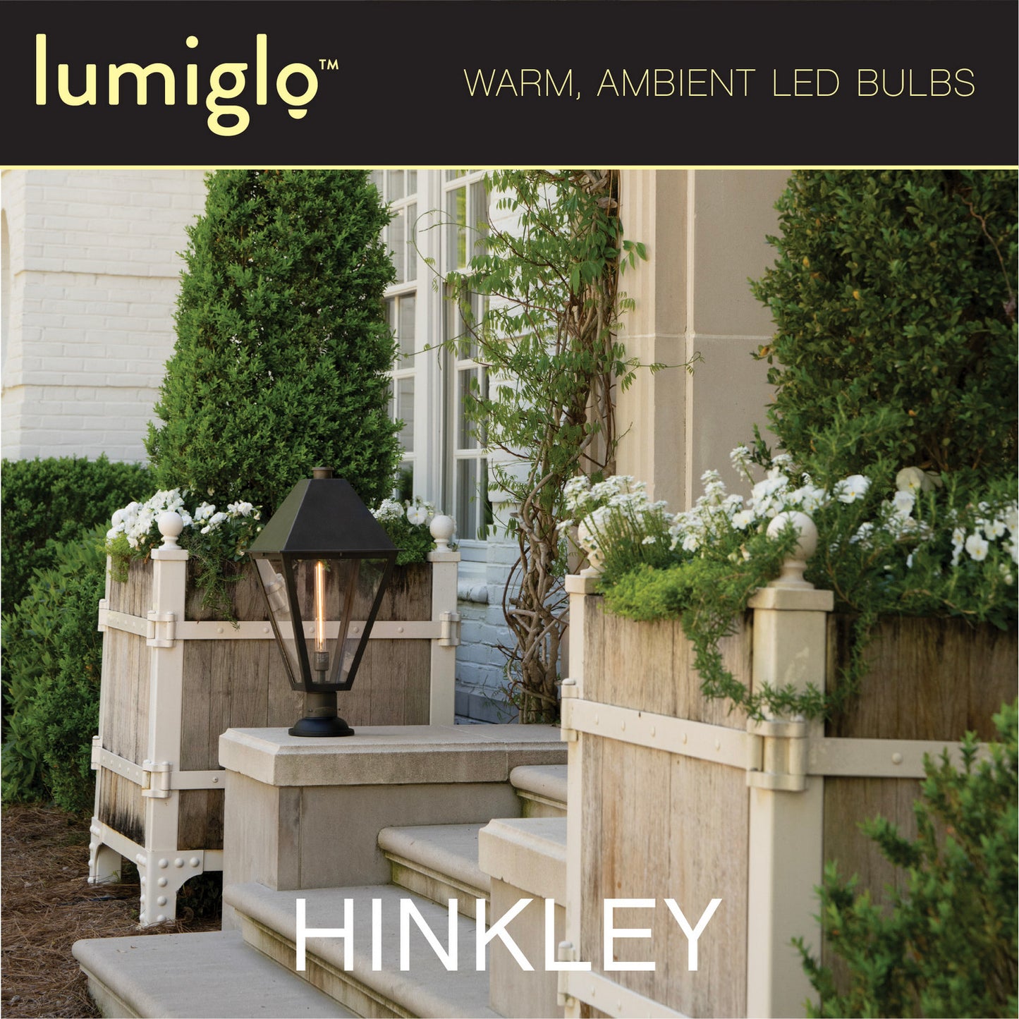Hinkley-E26T1042411CL-24|ALT|3