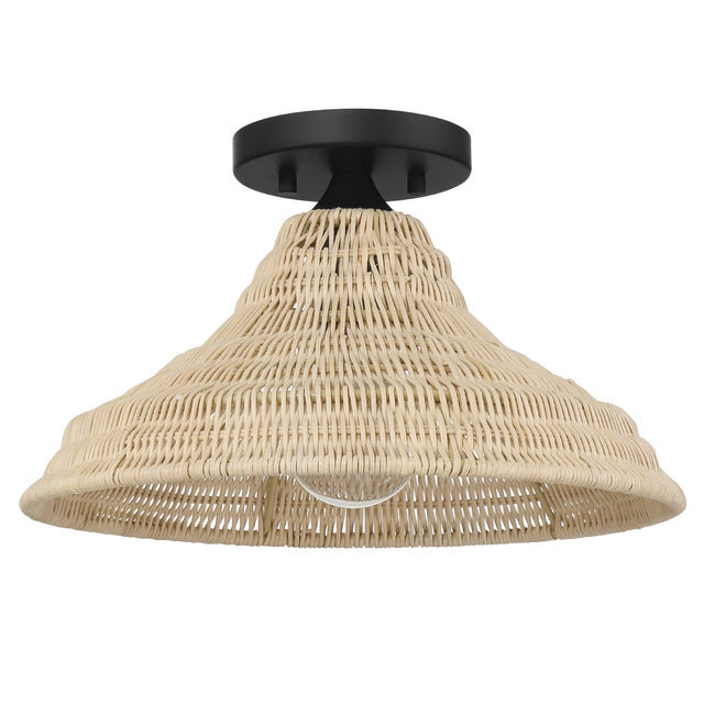 Agoura Flush Mount Ceiling Light by Hunter