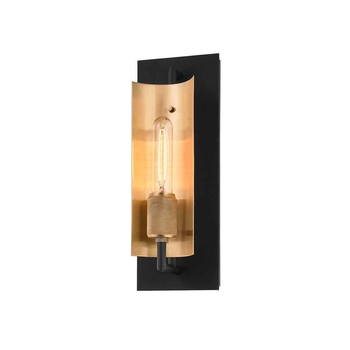 Troy Lighting-B6781-SBK/BBA image