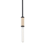 Troy Lighting-F6701-SBK|MAIN