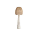 Arteriors-PFS02|MAIN