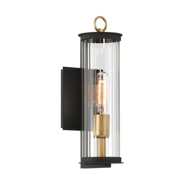 Cara Outdoor (Wet) Wall Lantern by Minka-Lavery