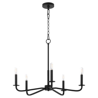 Buy matte-black Rutherford Outdoor (Damp) Chandelier by Quorum