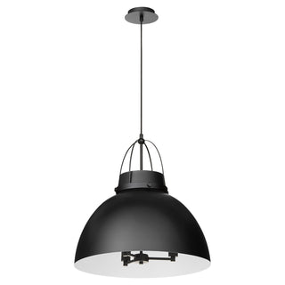 Buy matte-black Pruitt Outdoor (Damp) Pendant by Quorum
