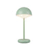 Sage Green with Frosted Acrylic Lens Glass and Frosted Shade