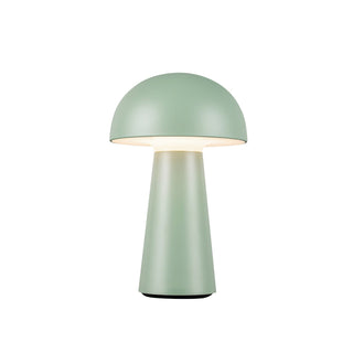 Buy sage-green-with-frosted-acrylic-lens-glass-and-frosted-shade Asher Table Lamp by Kuzco Lighting