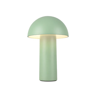 Buy sage-green-with-frosted-acrylic-lens-glass-and-green-shade Setas Lamp by Kuzco Lighting