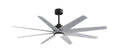 Ariella-LK Ceiling Fan by Matthews Fan Company