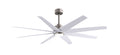 Ariella-LK Ceiling Fan by Matthews Fan Company