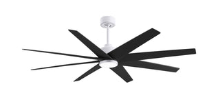 Buy matte-white-finish-with-matte-black-blades Ariella-LK Ceiling Fan by Matthews Fan Company