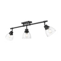 Duncan Directional Semi-Flush Mount Light by Golden