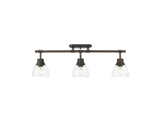Buy rubbed-bronze-with-clear-glass-glass-and-clear-shade Duncan Directional Semi-Flush Mount Light by Golden