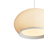Golden-4017-11 SNY|ALT|2