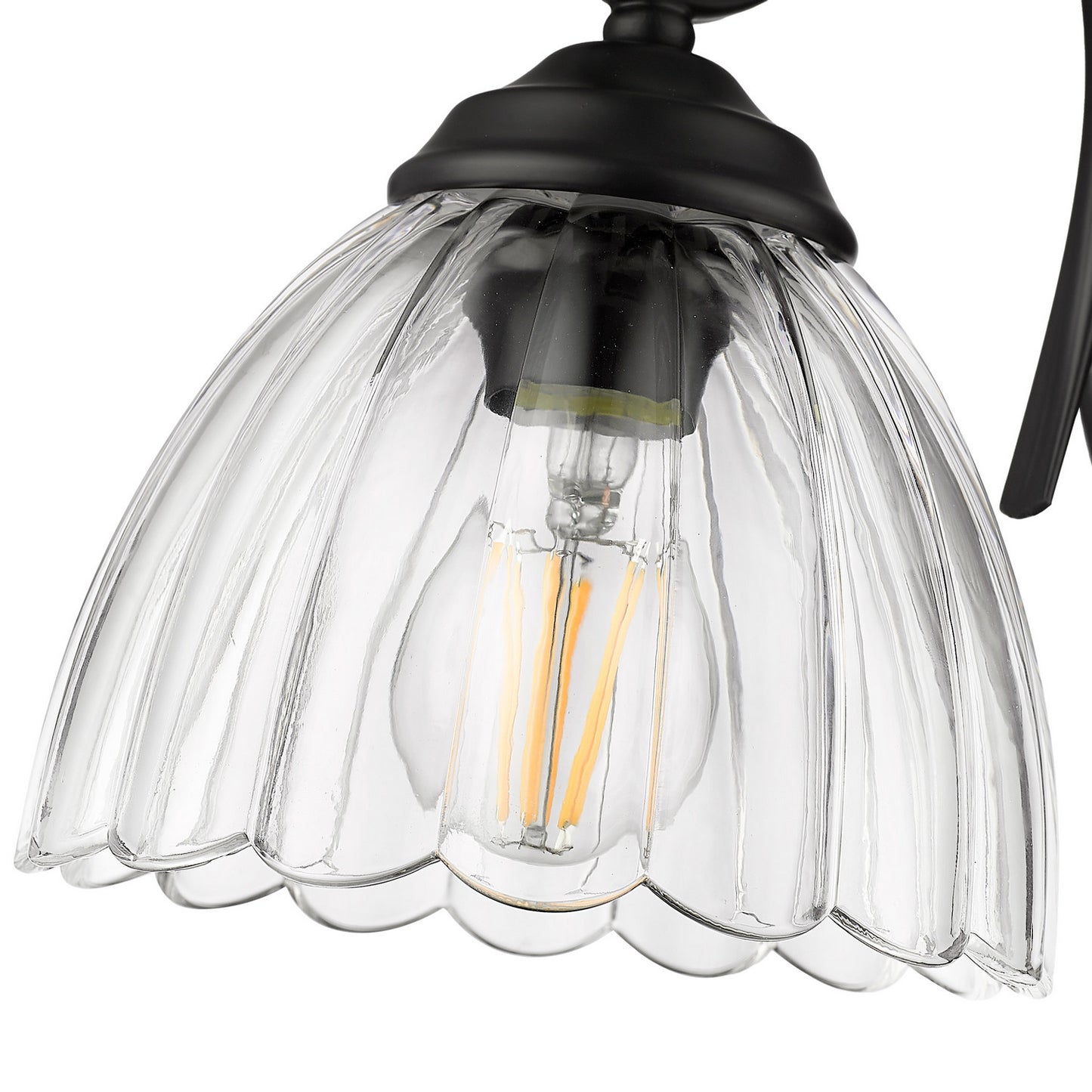 Golden-6952-1W BLK-CLR|ALT|4