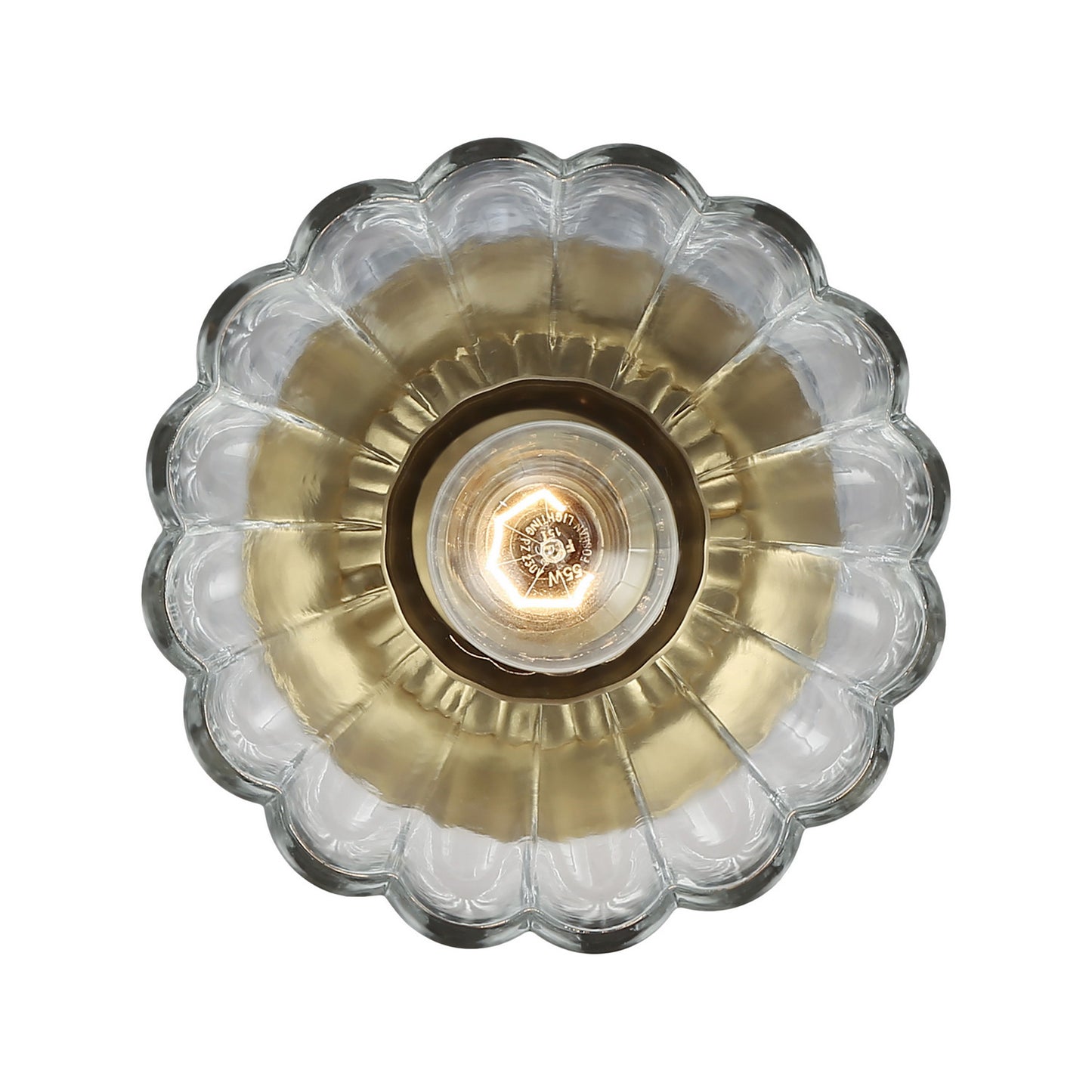Golden-6952-SF7 BCB-CLR|ALT|2