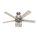 Astwood II Ceiling Fan with Light by Hunter